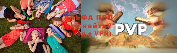 хмурый Инсар