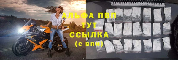 СК Иннополис