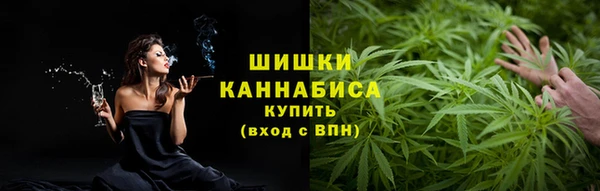 хмурый Инсар