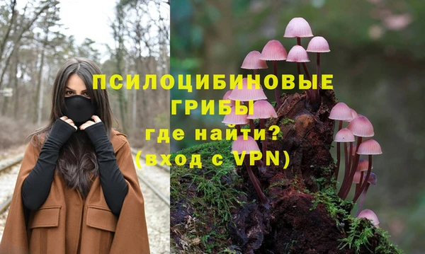 мдма Инта