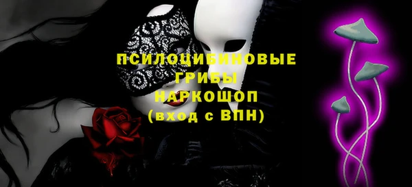 мдма Инта