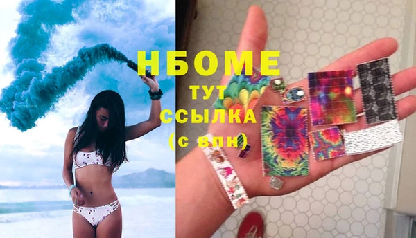 хмурый Инсар