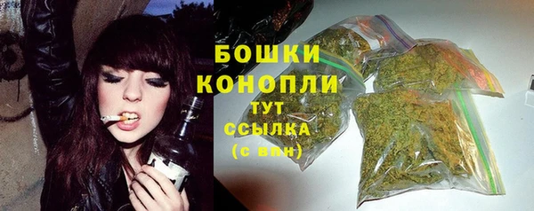 хмурый Инсар