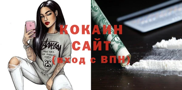 хмурый Инсар