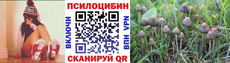 Купить  Верхоянск  Галлюциногенные грибы GOLDEN TEACHER 